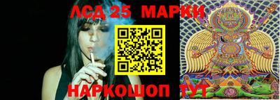 гашик Малгобек