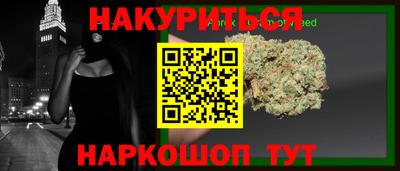 гашик Малгобек