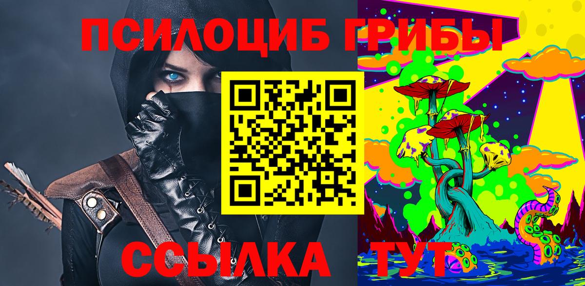 Галлюциногенные грибы Psilocybe Гусев