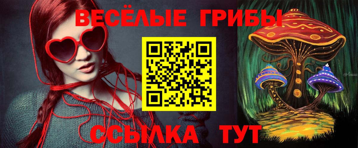 купить наркотик  Галлюциногенные грибы мицелий  Гусев  Вход с VPN  Галлюциногенные грибы Psilocybine cubensis 